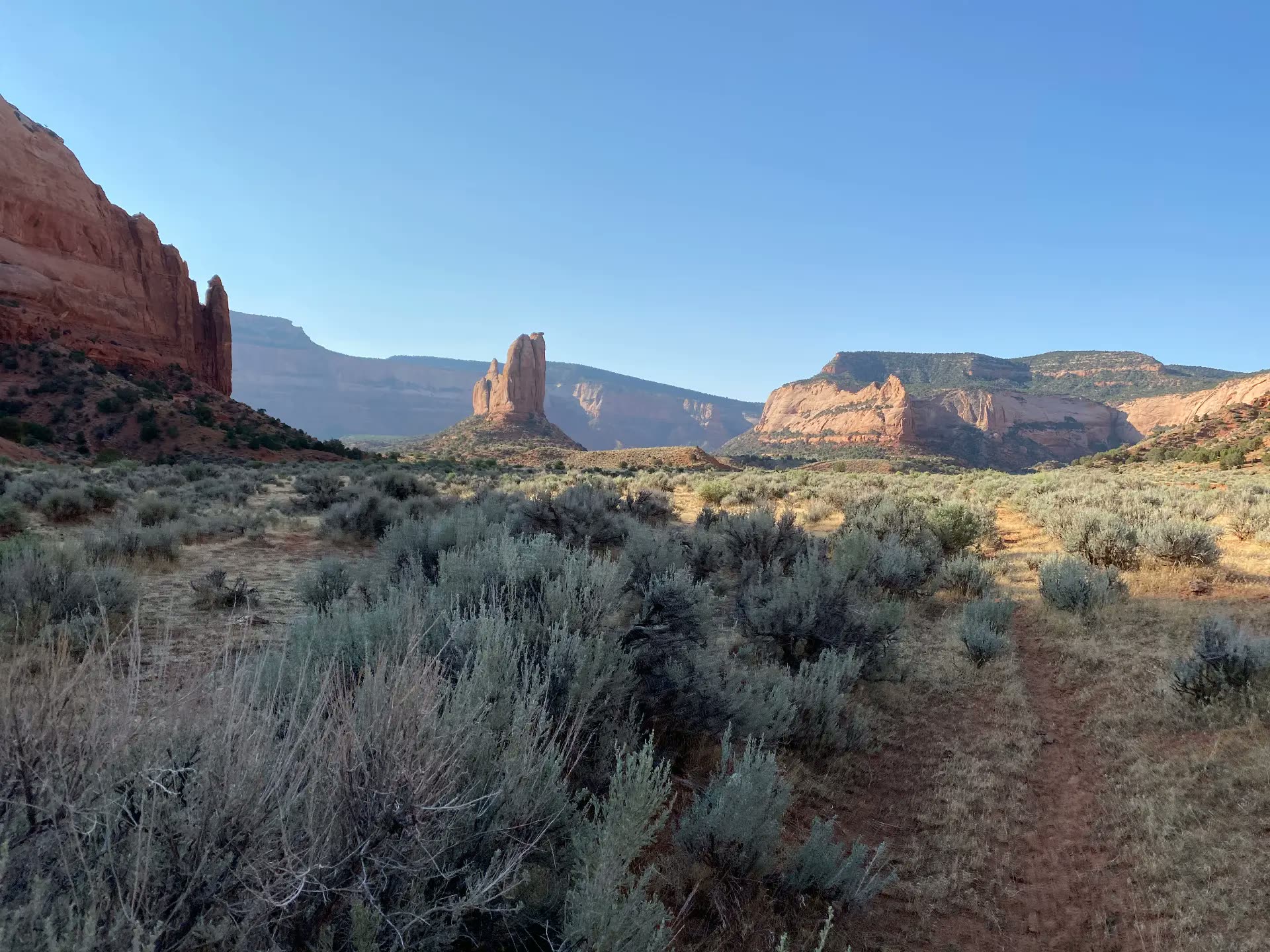 Silver sagebrush flats leading toward tall red rock spires and canyon walls in early morning light.