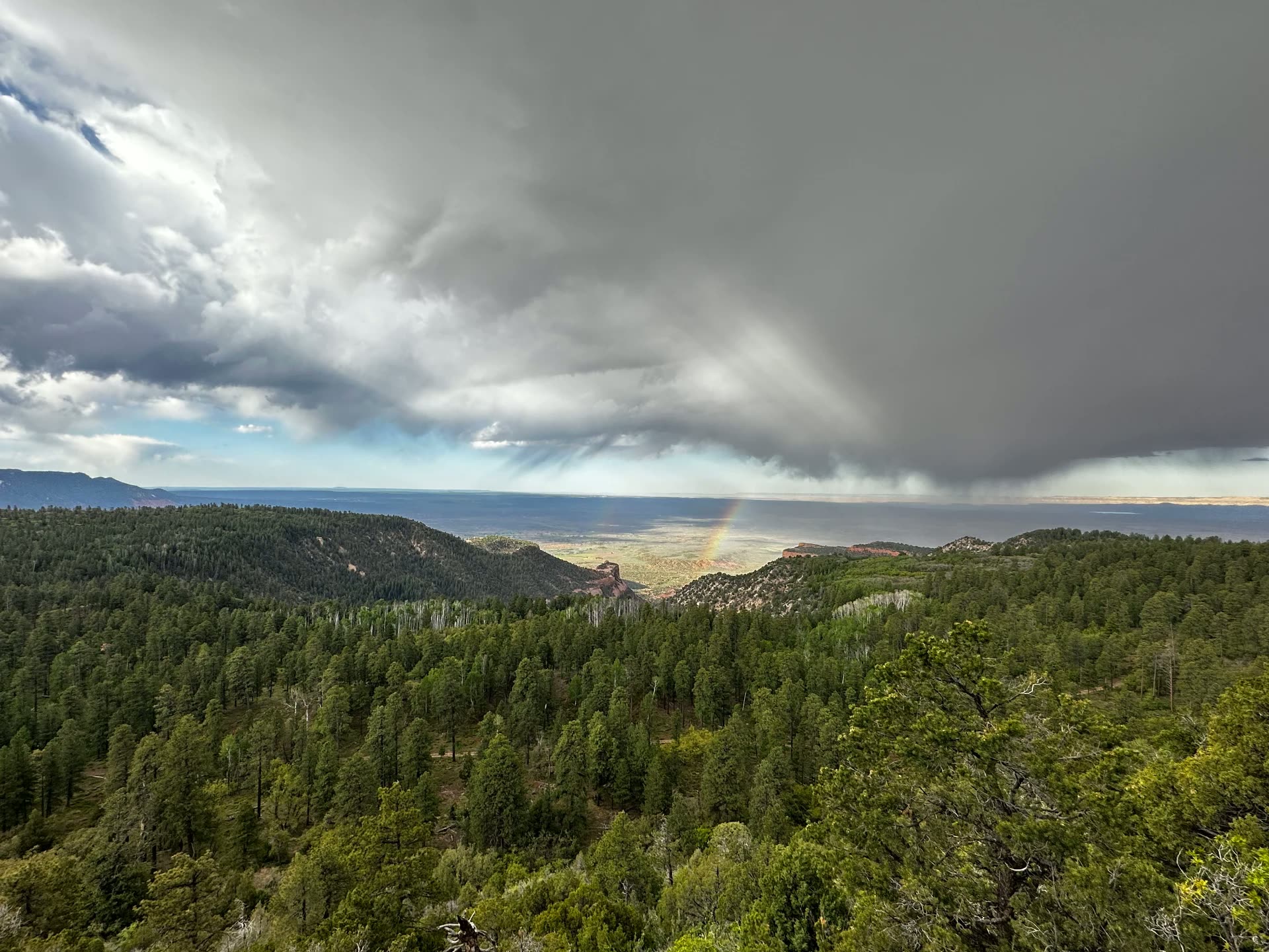 A monsoon storm sweeping over pine-covered mountains with a rainbow falling toward the desert valley below.