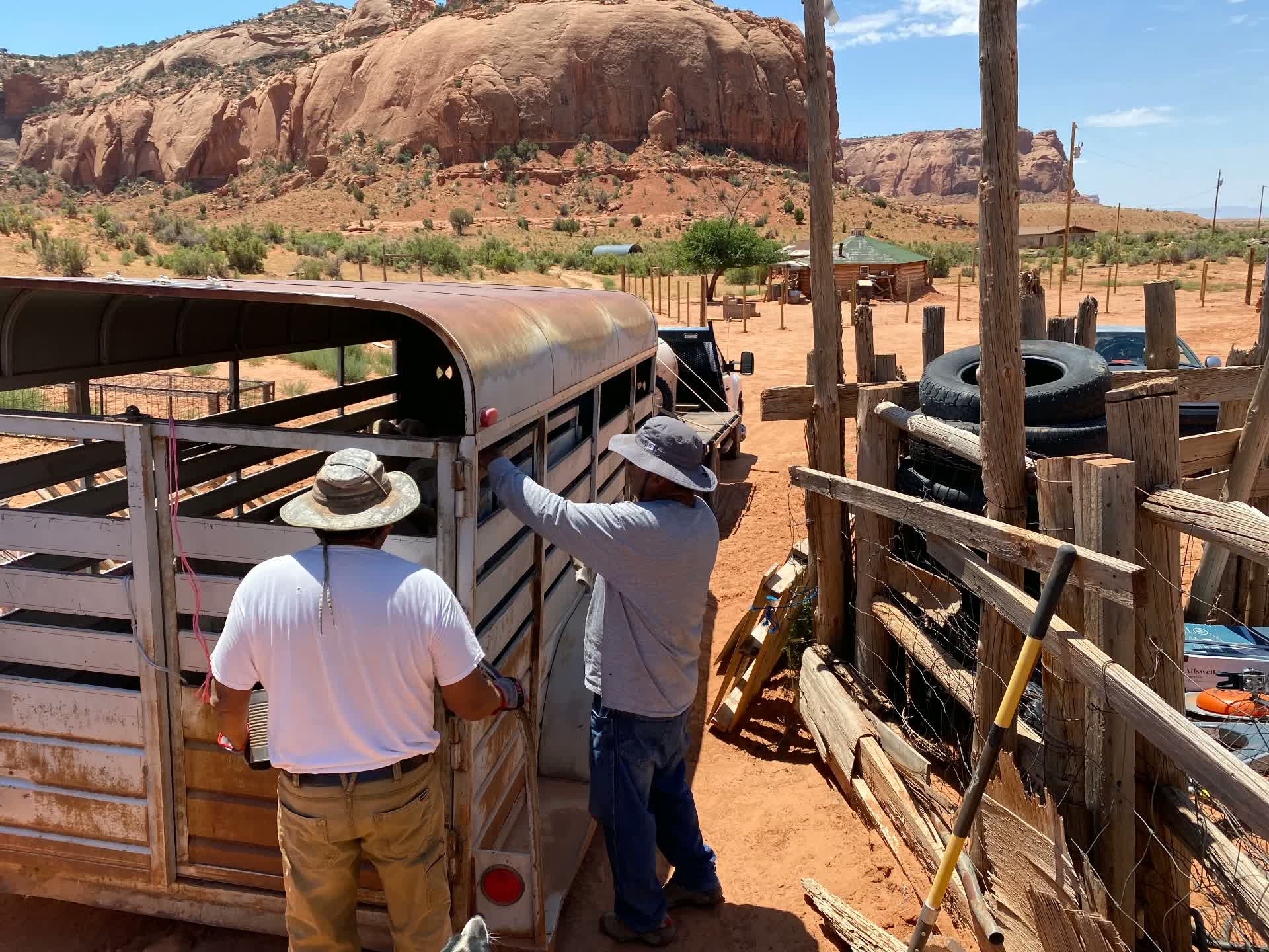 Two people loading sheep into a livestock trailer beside a corral, red rock cliffs behind.